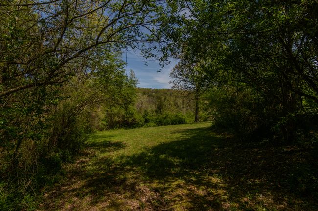 481JessiRdForsythMO-10 | Image 56
