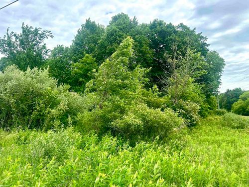VL Braidwood Parcel 5 Road, Riley Township, MI, 48041 | Card Image