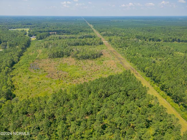 949 General Howe Hwy Road, Home with 0 bedrooms, 0 bathrooms and null parking in Riegelwood NC | Image 20