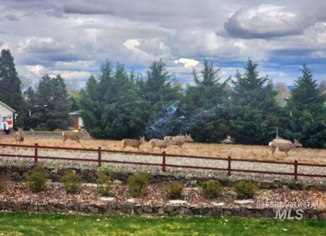 2835 24 Th St, House other with 4 bedrooms, 3 bathrooms and 2 parking in Clarkston WA | Image 49