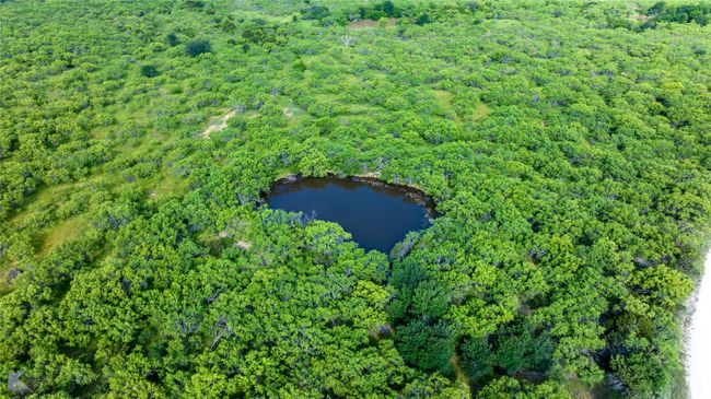 Aerial view of property's location featuring a forest and a nearby body of water | Image 9