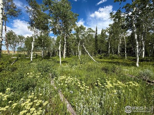 0 Dewclaw Rd, Red Feather Lakes, CO, 80545 | Card Image