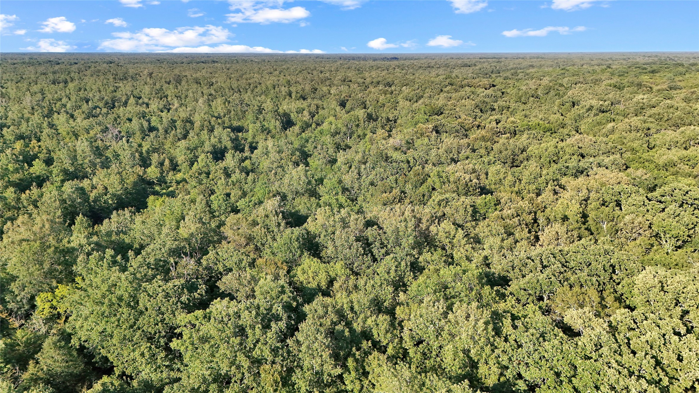 Land in Bogata 2