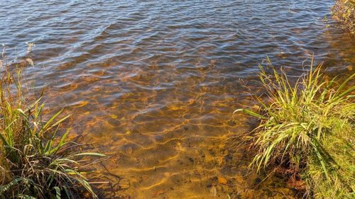 24608 E Long Lake Rd, Bigfork, MN, 56628-4632 | Card Image