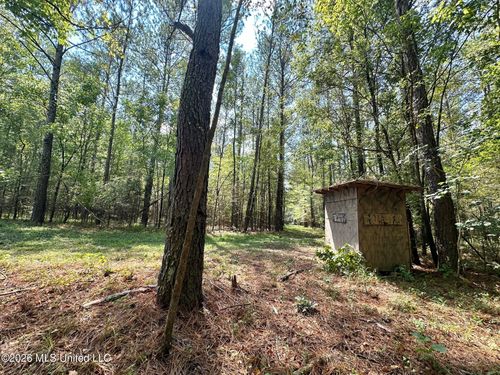 8 Forest Service Road 562, Pulaski, MS, 39152 | Card Image