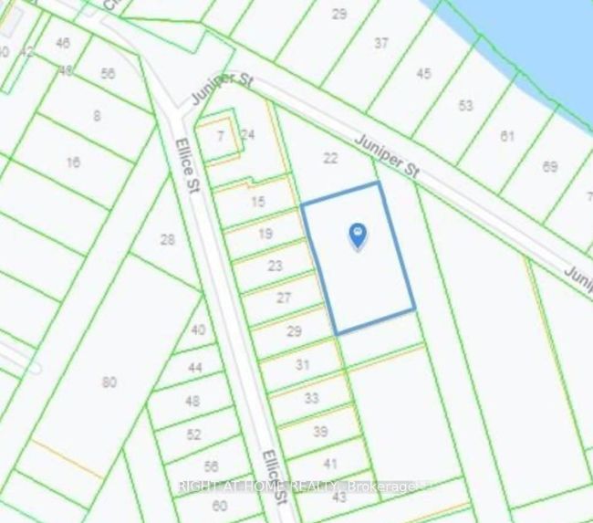 0 Ellice St, Home with 0 bedrooms, 0 bathrooms and null parking in Fenelon Falls ON | Image 4