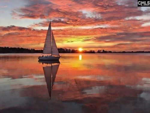 449 Lake Estate Dr, Chapin, SC, 29036-7643 | Card Image