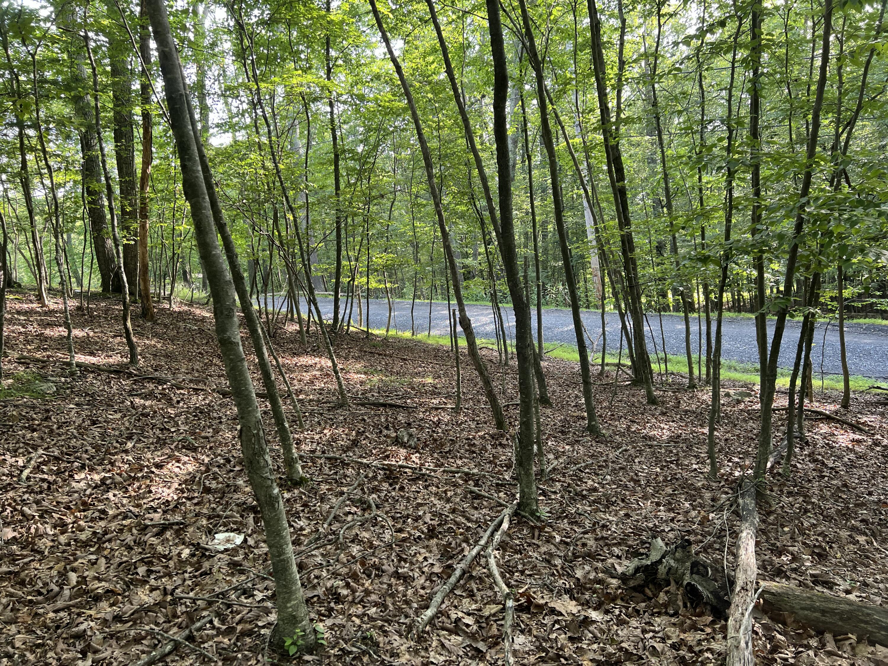 Land in East Stroudsburg