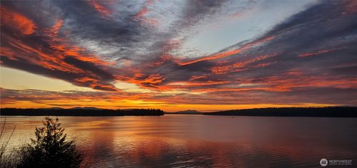 9809 Johnson Point Loop Ne, Olympia, WA, 98516 | Card Image
