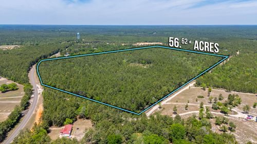 56 Acres Hinote Road, Defuniak Springs, FL, 32433 | Card Image