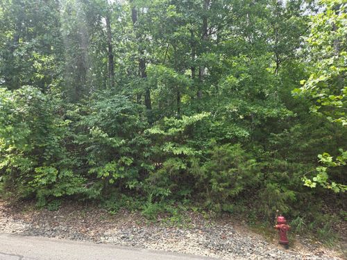 Lot 13 Silvercliff Way, Reeds Spring, MO, 65737 | Card Image
