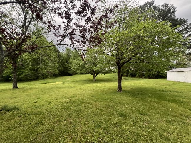 297 Appleton Rd, House other with 2 bedrooms, 1 bathrooms and 1 parking in Five Points TN | Image 8
