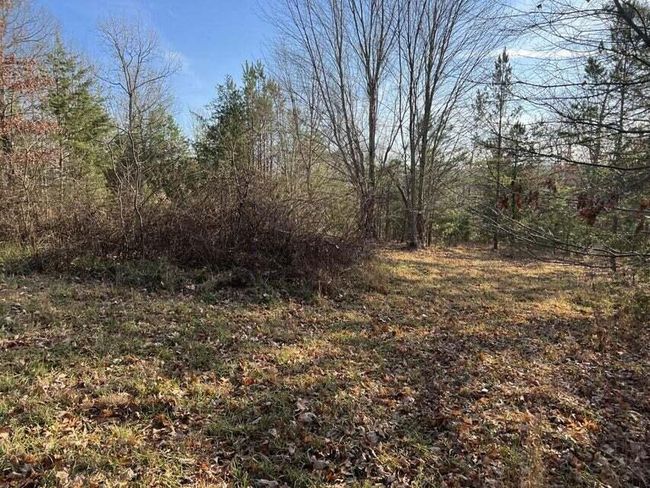 0 Log Cabin Ln, Home with 0 bedrooms, 0 bathrooms and null parking in Dunlap TN | Image 4