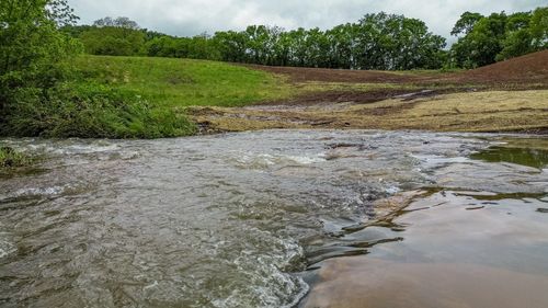 0 Ostella Rd, Cornersville, TN, 37047 | Card Image