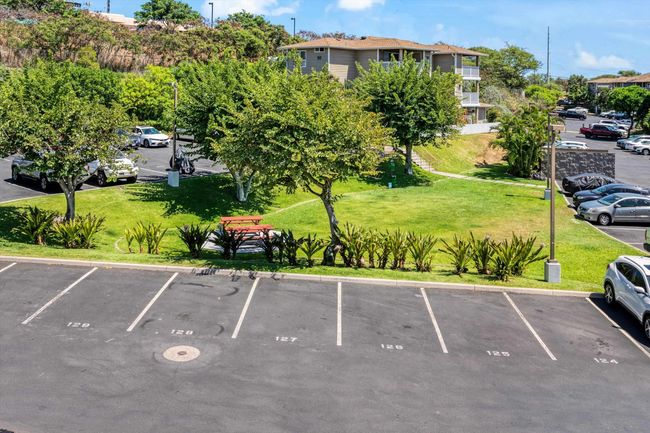 APT-137 - 7 Koiula Ln, Condo with 2 bedrooms, 2 bathrooms and null parking in Kahului HI | Image 25