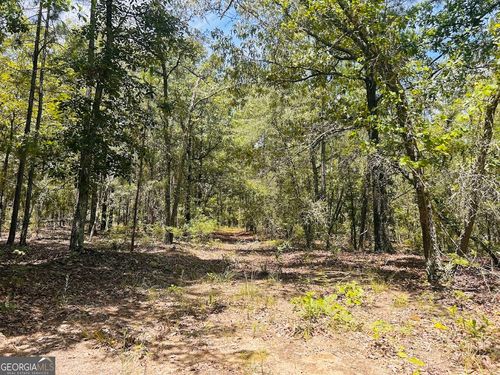 1-0 Moores Chapel Rd, Mauk, GA, 31058 | Card Image