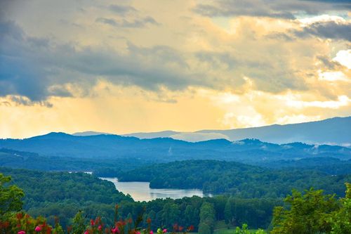 85 Little Deer Run, Hayesville, NC, 28904-6365 | Card Image