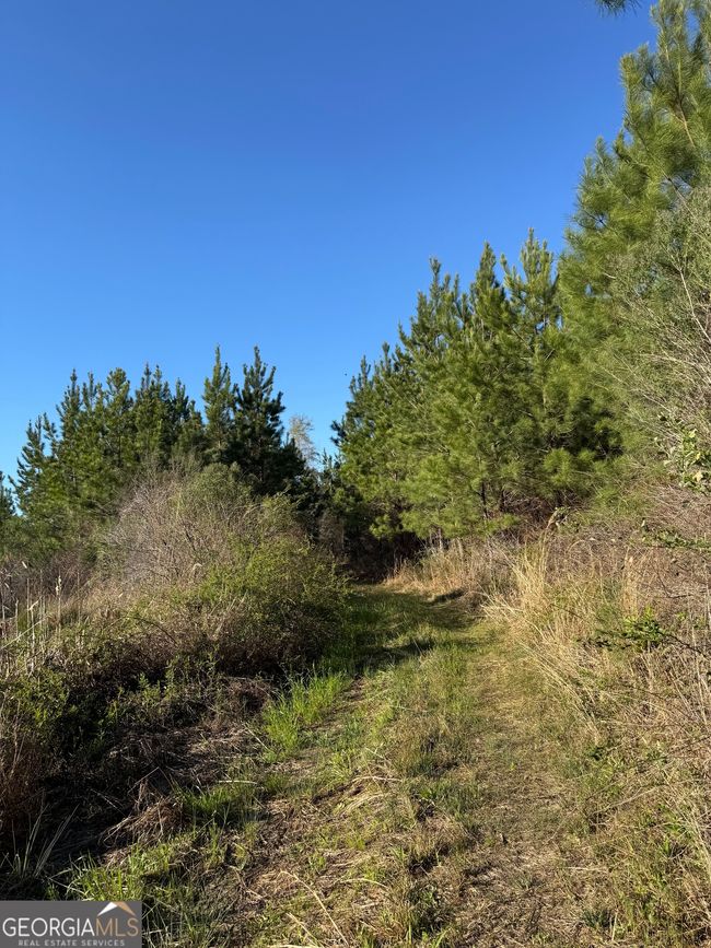 0 Hightower Rd, Home with 0 bedrooms, 0 bathrooms and null parking in Blakely GA | Image 7