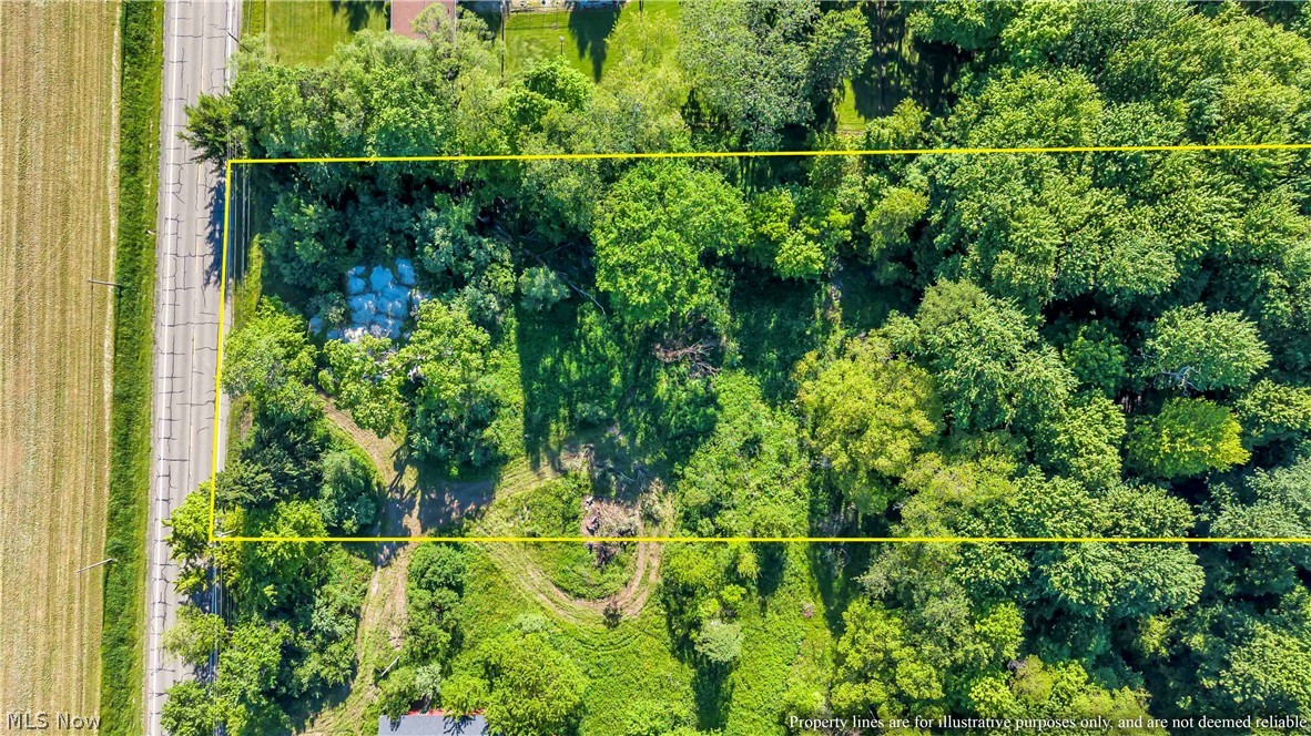 Land in Mantua 2