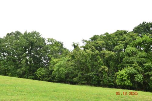 Lot 230 Harbor, Mooresburg, TN, 37811 | Card Image