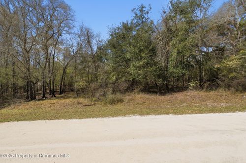 0 Smallman St, Webster, FL, 33597 | Card Image