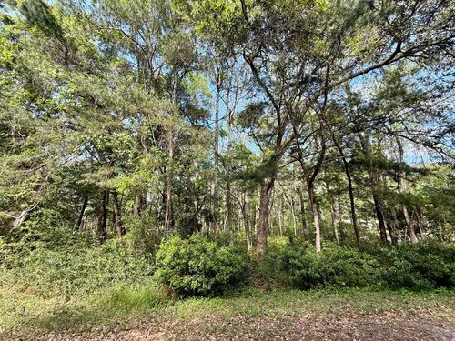 0 Crawford Dr, Edisto Island, SC, 29438 | Card Image