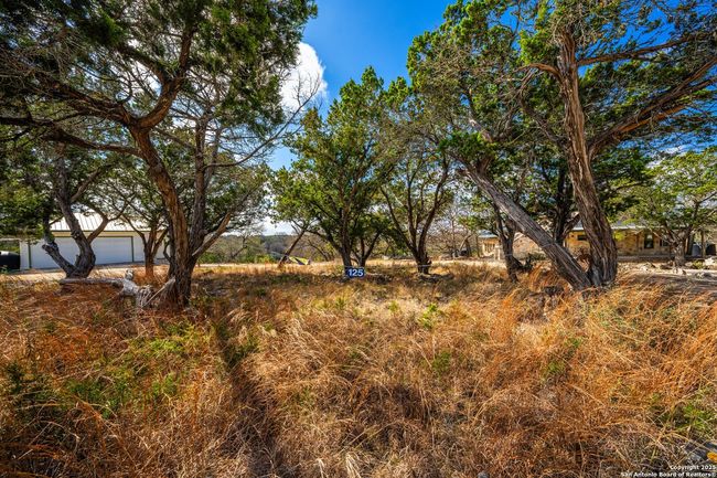 125 Turkey Trot Trl, House other with 3 bedrooms, 3 bathrooms and null parking in Hunt TX | Image 18