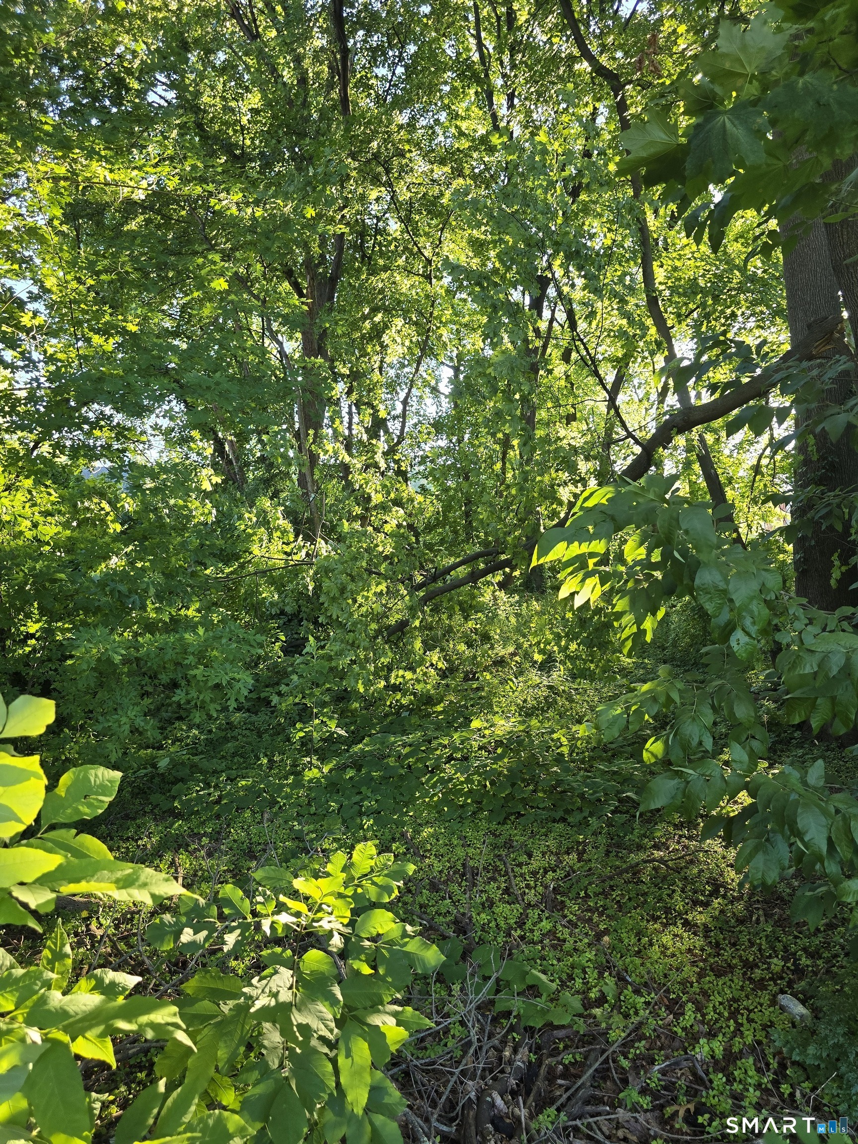 Land in Danbury 2