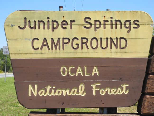 Ocala National Forest Activity | Image 84