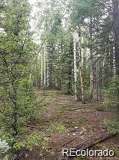 Lot 4-6 8th St, Del Norte, CO, 81132 | Card Image