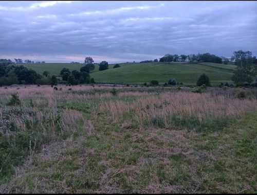 lot-a-435 Stone Rd, Paris, KY, 40361-9397 | Card Image