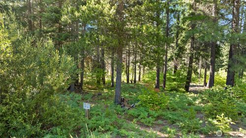 131 Goat Creek Ln, Cle Elum, WA, 98922-3058 | Card Image