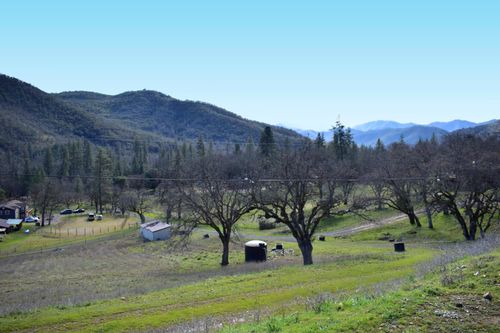 12940 Highway 234, Gold Hill, OR, 97525-5514 | Card Image