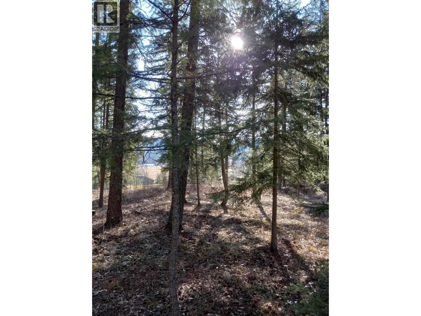 Land in Canim Lake 5