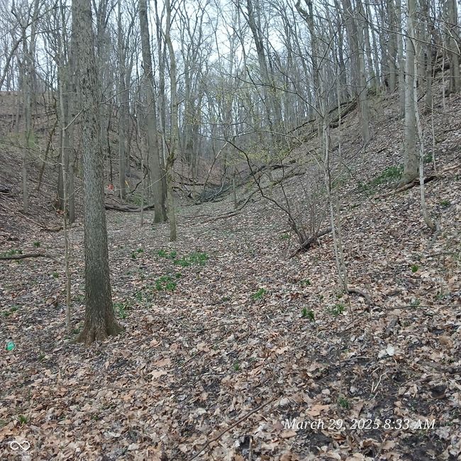 0000 Vacant Grd S Main Street, Home with 0 bedrooms, 0 bathrooms and null parking in Newport IN | Image 4