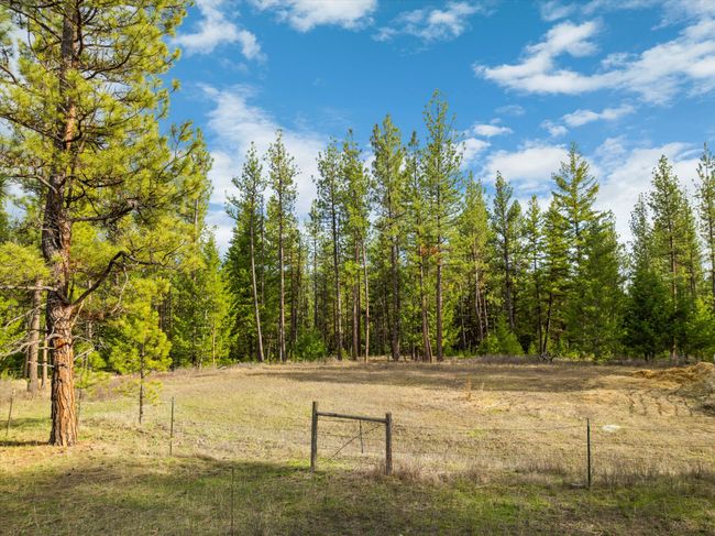 Pasture | Image 39