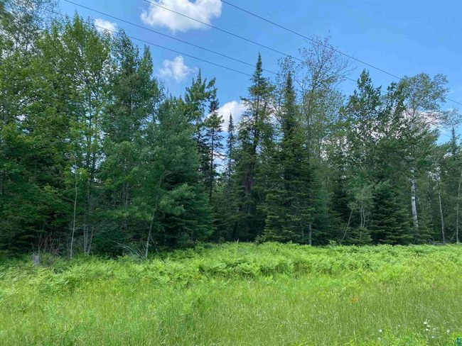 57 Munger Shaw Rd, Home with 0 bedrooms, 0 bathrooms and null parking in Saginaw MN | Image 16