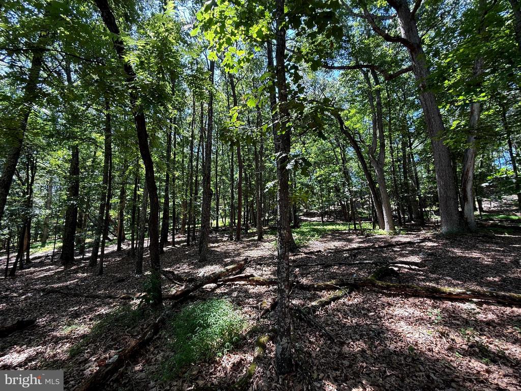 Land in UPPER TRACT 2