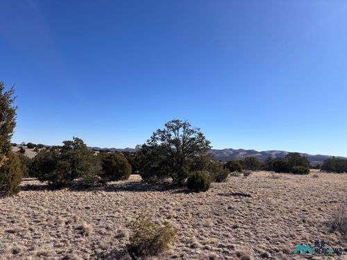 168-0 Lot 168 Pinon Springs, Magdalena, NM, 87825 | Card Image