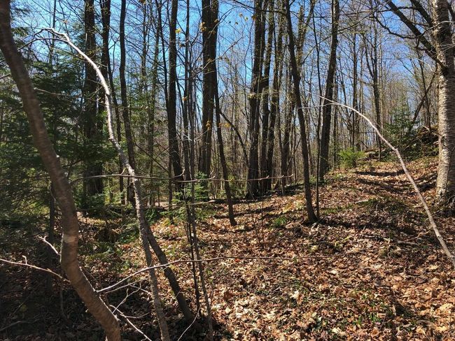 Lot 35 N Alpine Dr, Home with 0 bedrooms, 0 bathrooms and null parking in Upson WI | Image 5