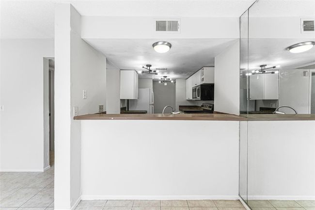 APT-101 - 4035 Angel Oak Ct, Condo with 2 bedrooms, 2 bathrooms and null parking in TAMPA FL | Image 13