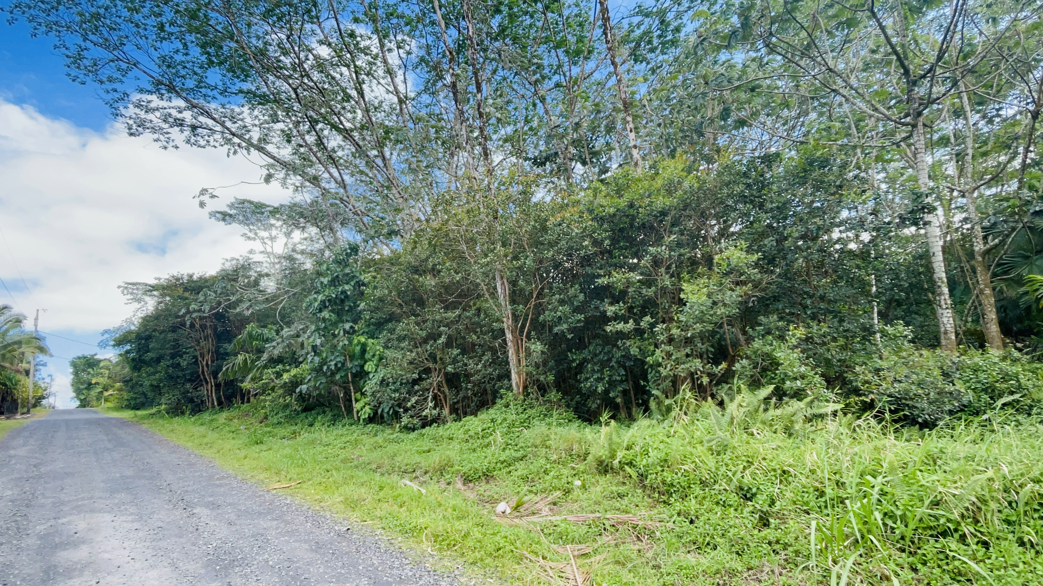 Land in Keaau 4