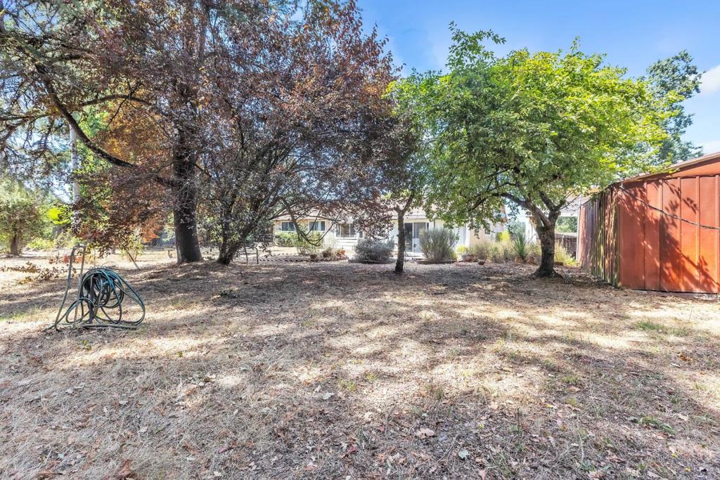Residential in Sebastopol 4