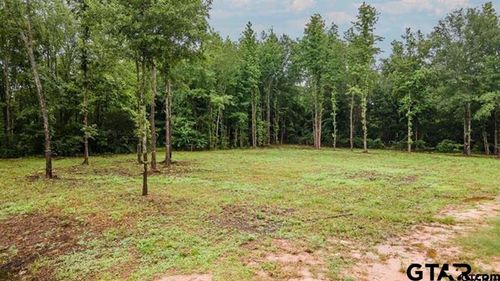 Lot 50 Pr 7011, Frankston, TX, 75763 | Card Image