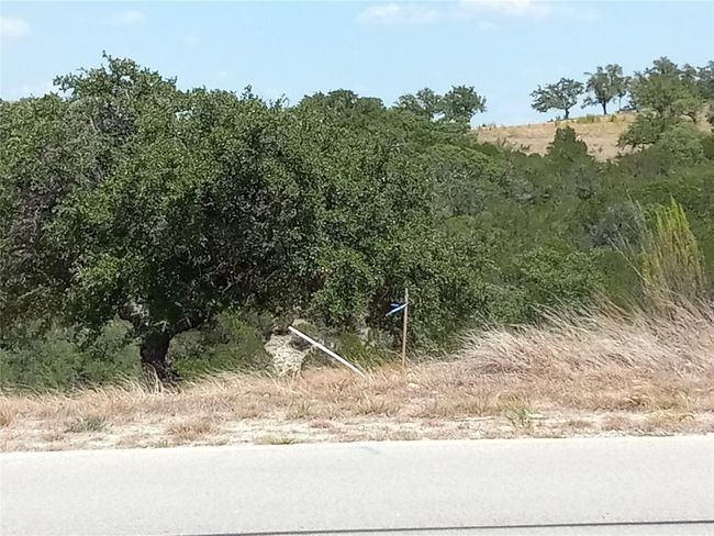 View of local wilderness | Image 14