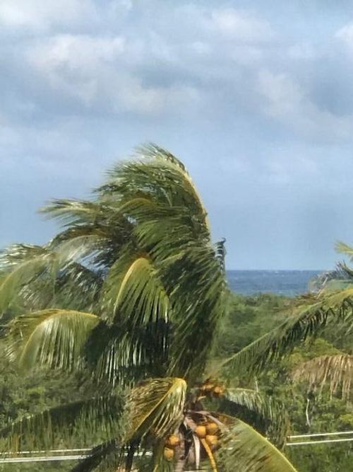 c503-275 Palm Ave, Jupiter, FL, 33477-5176 | Card Image