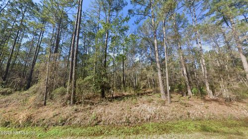 10675 Delgado Ave, Hastings, FL, 32145 | Card Image