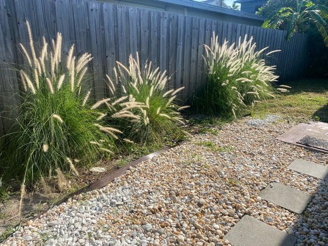 A - 725 S Orlando Ave, Home with 2 bedrooms, 1 bathrooms and null parking in Cocoa Beach FL | Image 13