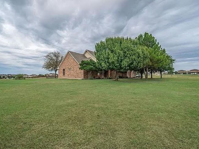View of grassy yard | Image 13