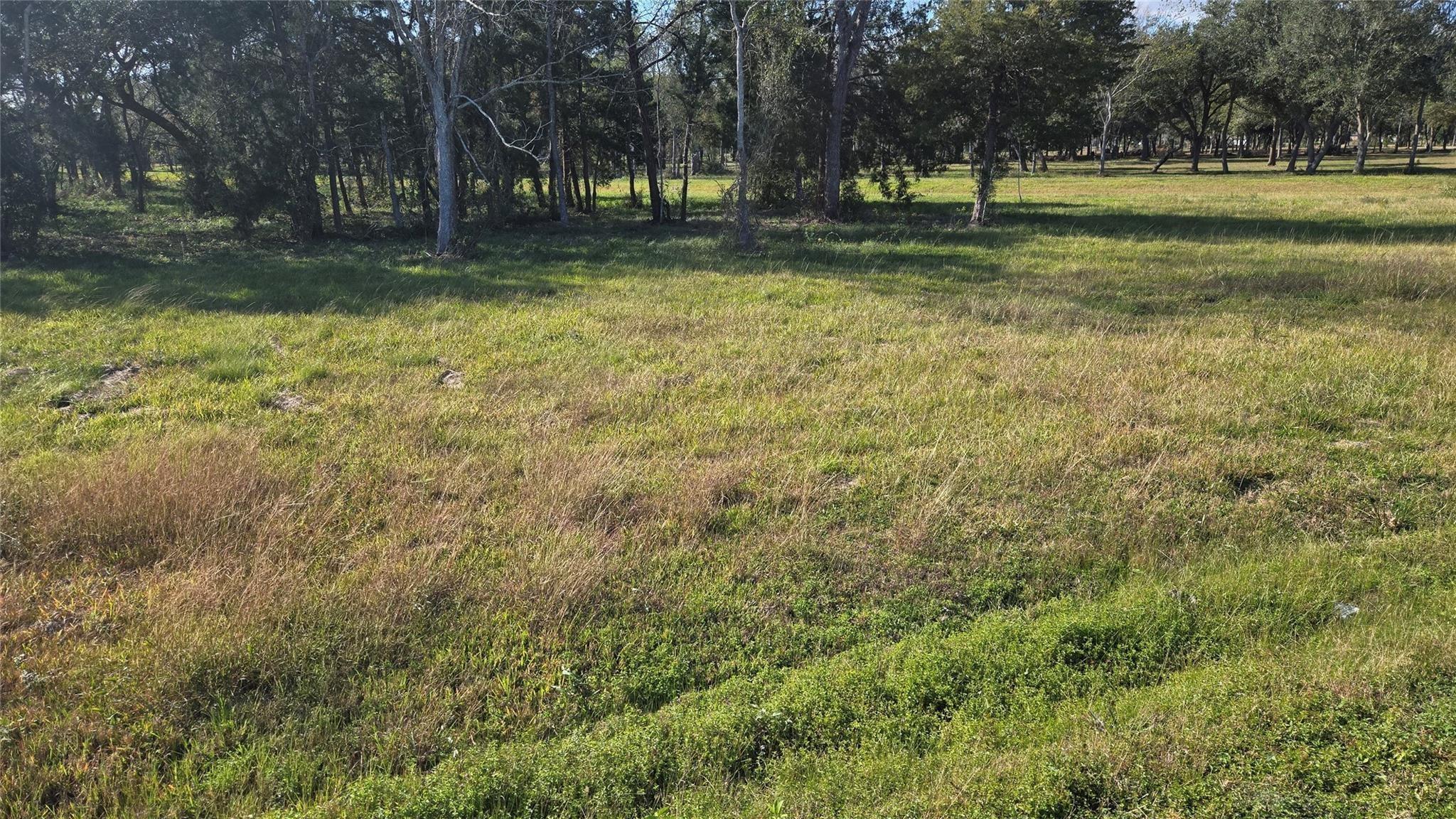 Land in Alvin 3